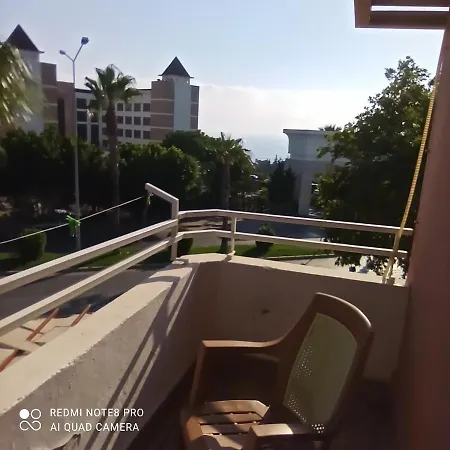 Alya سيدي
